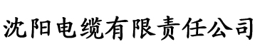 麻豆日记ios官方下载电缆厂logo